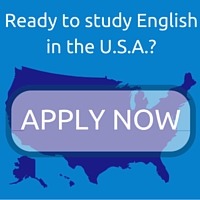 Link to IEI's Online Application